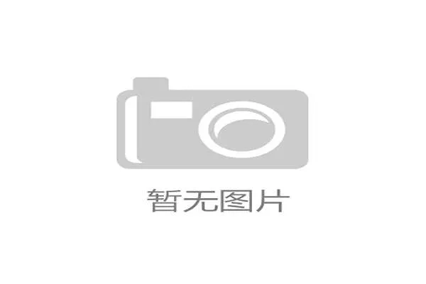 捷克球迷期待球队重返世界杯舞台